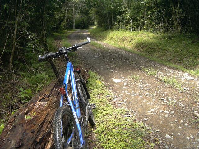 Mountain Biking